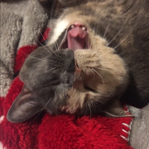 Meet your Posher, Felicia - Picture 1 of 1